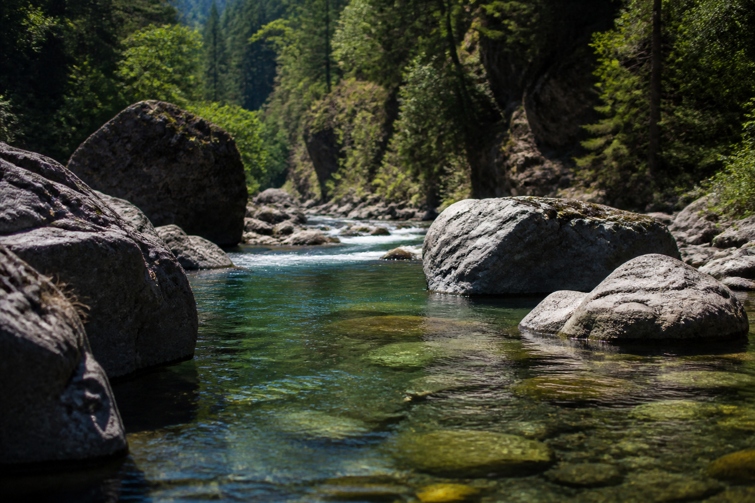 Clear low summer water on the Upper Sacramento River running between grey boulders in a steep forested canyon near Dunsmuir California